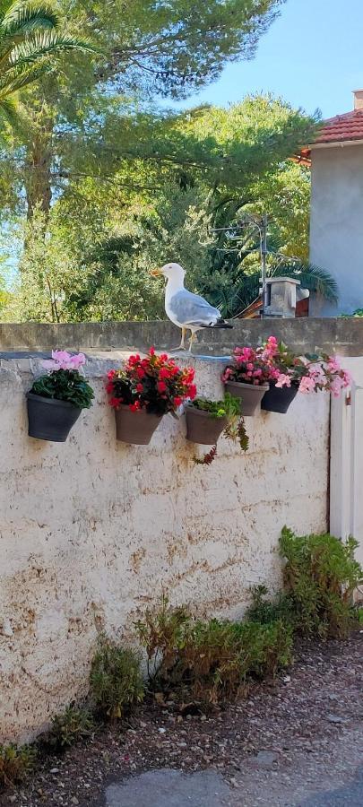 Joli Studio Les Pieds Dans L Eau Avec Place De Parking Gratuite Bandol Eksteriør bilde